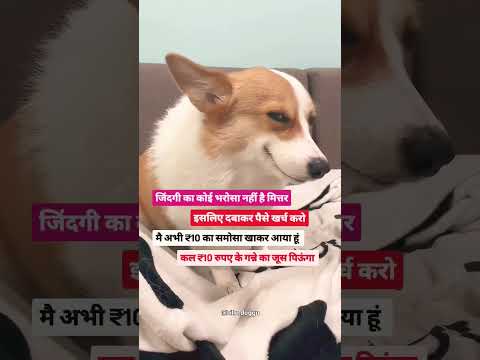 Aaj Tak koi nahi gaya 😁😲 #comedy  #trending  #viralvideo # #bhaichara