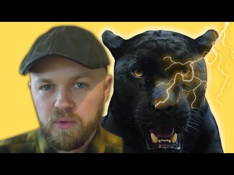 An Appalachian Panther Tale