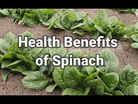 Health Benefits of Spinach