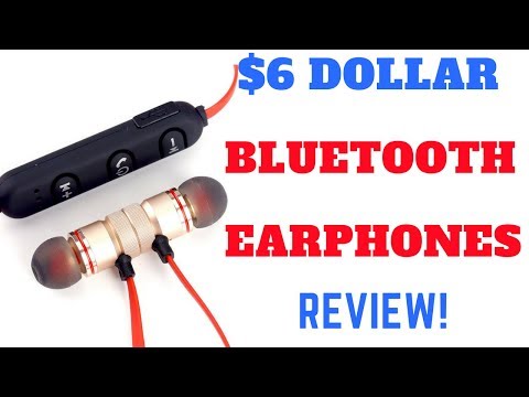 What do you Expect!-$6 Dollar Bluetooth Earphones
