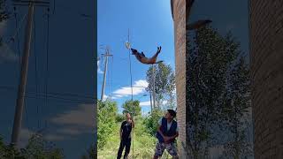 Dog high Jump #dog #doglover #dogjump