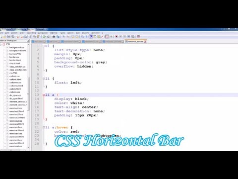Daily Video Blog with Anik || CSS Horizontal Bar