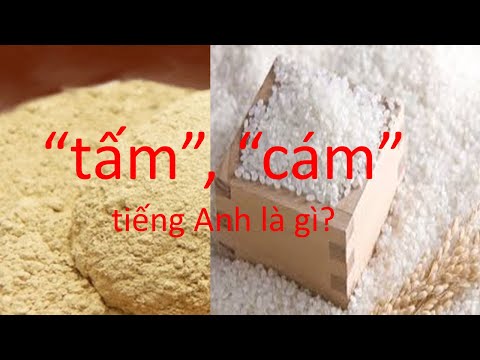 Tấm, cám tiếng Anh là gì? | English vocab about Vietnamese food