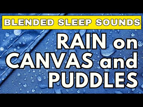 Rain Soundscape: Canvas, Puddles, and Serenity