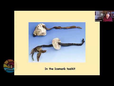 The Registry of Mushrooms in Works of Art with Elio Schaecter Ph.D.