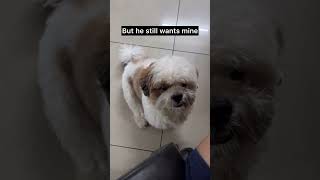 Sharing is caring🥰2#trendingaudio #foryou #explorenow #explorepage #youtubeshorts #viral #trending