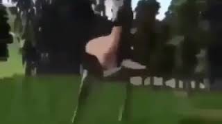 Dancing deer meme