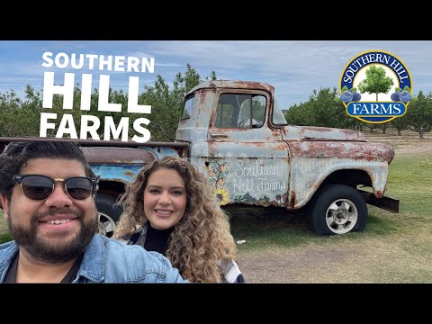 Sunflowers + Blueberry + Strawberry Farm | Southern Hill Farms