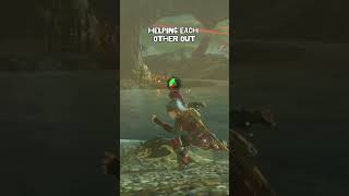 Wolf Link in TOTK #zelda #botw #totk #thelegendofzeldatearsofthekingdom