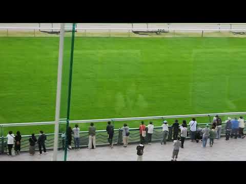 2023天皇賞(秋)　パークウィンズ福島競馬場より