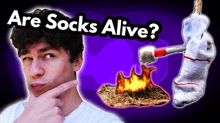 Dumb Answers to Dumb Questions