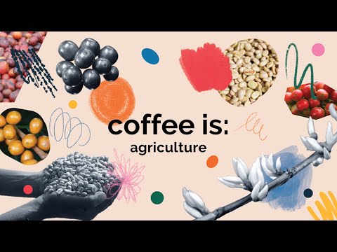 Coffee Is Agriculture by ED+U (Part 2)