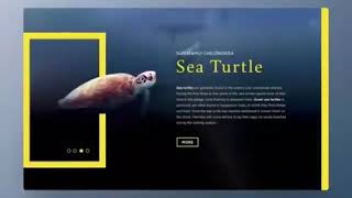 Water animation in Web Design