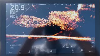 How I Search for Crappie Under Boat Docks with The Livescanner Quad Scan (Lure Lock)