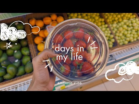 Days in my life ʚ🍓ɞ|Aesthetic Vlog| Temu haul, grocery shopping, outing