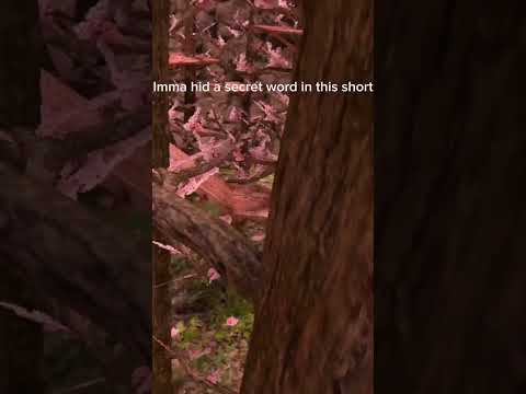 Fake 911 call (can u find the secret word