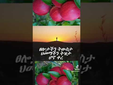 ሁሉም ያልፋል
