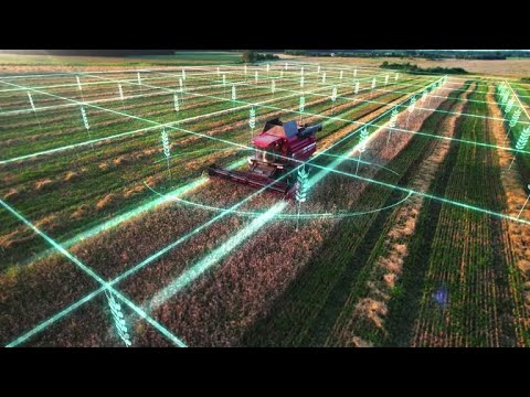 Tariffs Threaten U.S. Agriculture, Raising Risks for Rural Economies