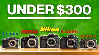 5 Great Cameras for Photo & Video Under $300!