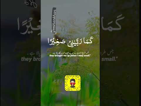 ya Raab Ap Reham ka Mamla ki jaiyo #religion #freequraneducation #quran #love #islamicprayer #duet
