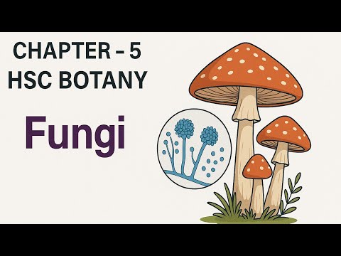 HSC Botany Chapter 5: Fungi (ছত্রাক) | Full Lecture for HSC & University Admission 2025