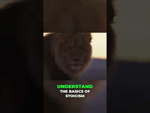 Unlocking the Power of Stoicism Overcoming Obstacles and Cultivating Resilience