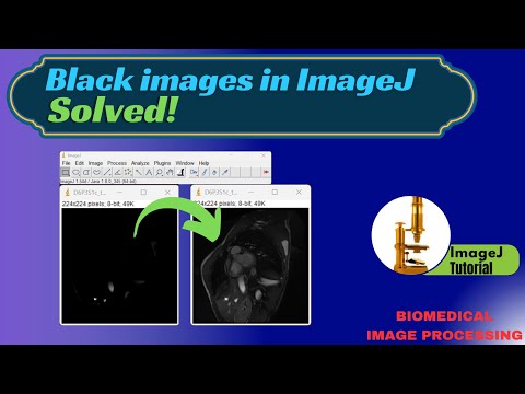 Black images in ImageJ | Contrast change Tutorial