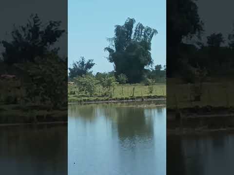 countryside