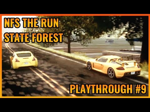 Need for Speed The Run Stage 9: State Forest