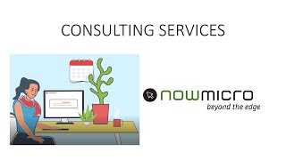 Now Micro Consulting Services