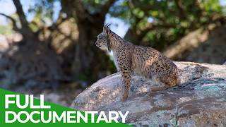 Iberia - Where Spain's Untamed Nature Rules | Free Documentary Nature