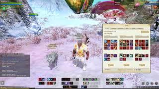 ArcheRage Tips for beginners #2 (Swiftblade build - 10k GS Immortalist)