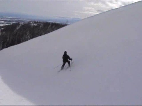 Freestyle Skiing- UNLEASHED!!!!!!!!!!!!