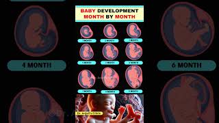 Month by Month Baby Development | What’s Happening Inside? #pregnancy #shortsvideo  #baby #health