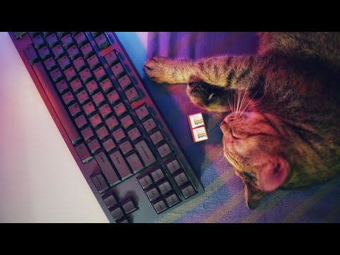Tealios V2 Lubed and Filmed Typing Sounds ASMR[Typing Only]