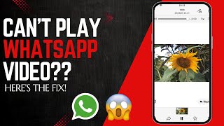 How To Fix Videos Not Playing On WhatsApp