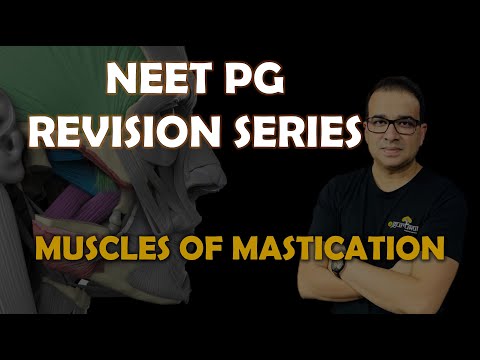 NEET PG- MUSCLES OF MASTICATION