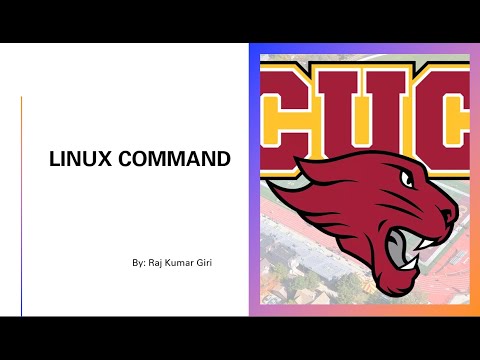 Disk, Pipe, Processes || Linux Command || Ubuntu