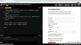CSS Form Control States: Indeterminate, Default, and Checked Explained | CSS Pseudo-Class Tutorial