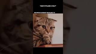 what if plan A failed? 🥲 #shorts #like #subscribe #trend #fun #explorefeed #superlike