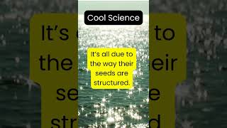 10 Crazy Science Facts That Will Blow Your Mind! 🌍🔬 #CoolScience