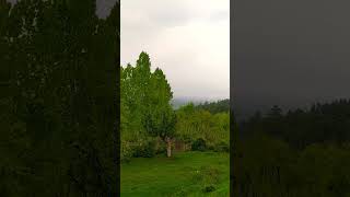 #viralshort #subscribemychannel @ExploreKashmir34 @UpcomingWorld