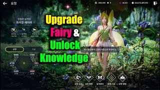 Black Desert Mobile Upgrade Fairy & Unlock Knowledge