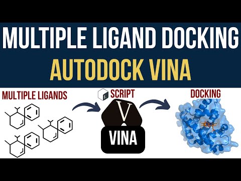 AutoDock Vina: Multiple Ligand Docking in MINUTES! (Bash Script Guide)!