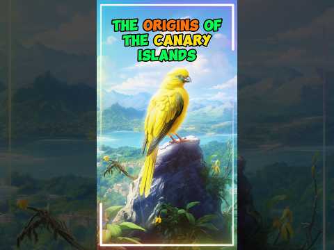 🏝️ The Origins of the Canary Islands Name 🐦🌄 #shorts #canaryislands
