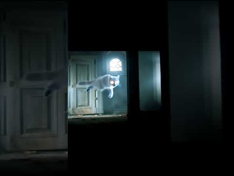 Scariest Horror Game Ever - cat