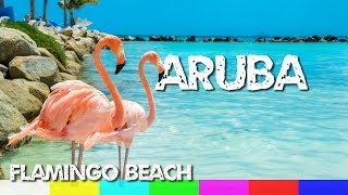 Aruba: Flamingo Beach - Renaissance Island