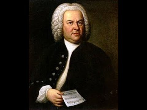 J. S. Bach - Partita for Bassoon (flute) in D minor BWV1013