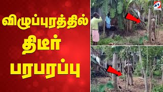 Villupuram | cheetah | விழுப்புரத்தில் திடீர் பரபரப்பு
