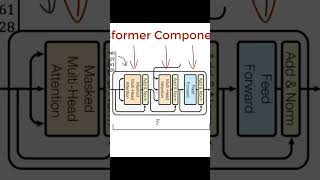 Decoder training with transformers